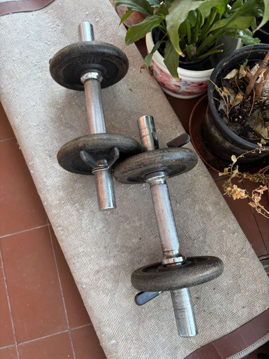 Halteres - 3 unidades