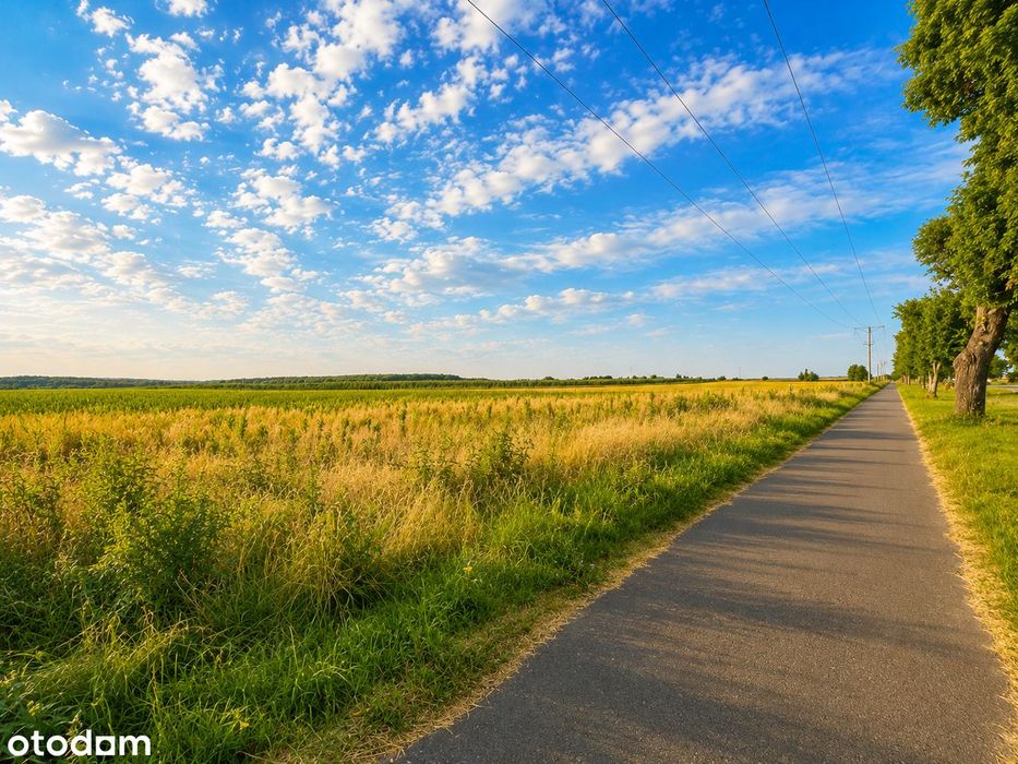 Działka inwestycyjna 8100 m² | WZ do 24 domów | Chociule - Widok 3