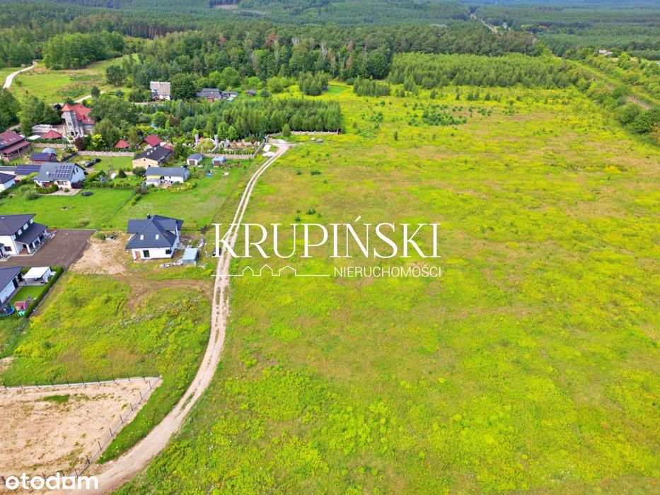 Kup działkę pod dom jednorodzinny w Aleksandrowie