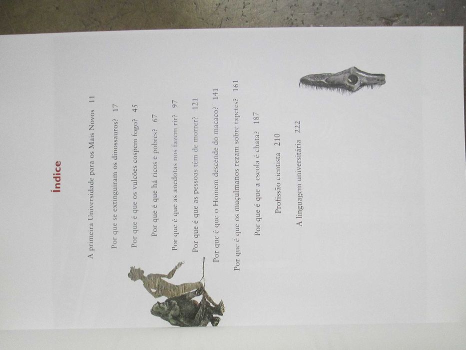 Universidade para os Mais Novos, de Ulla Steuernagel e Ulrich Janssen