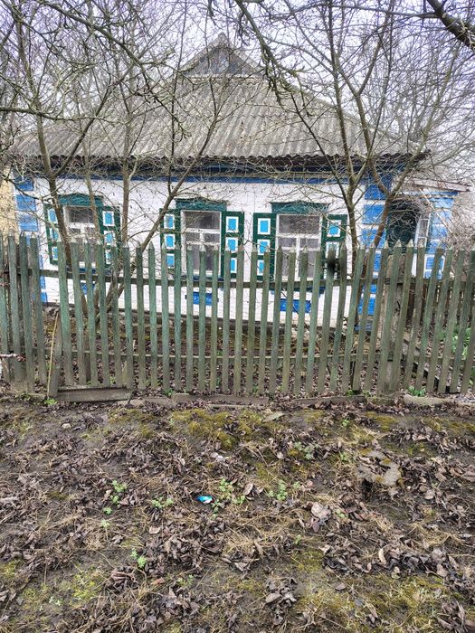 Продам будинок, в селі Мошорино , 12  км від  Знам'янки.