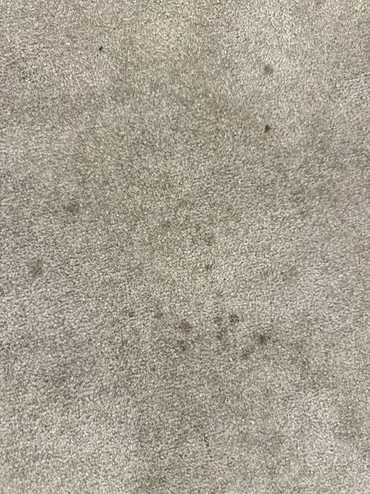 Tapete grande oval de sala – 3,90 m x 3,00 m