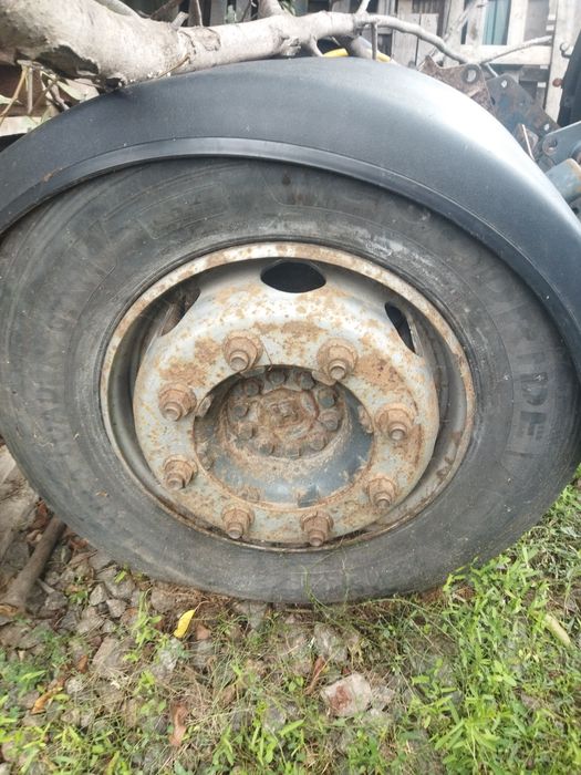 Продам маленький ленивец Даф