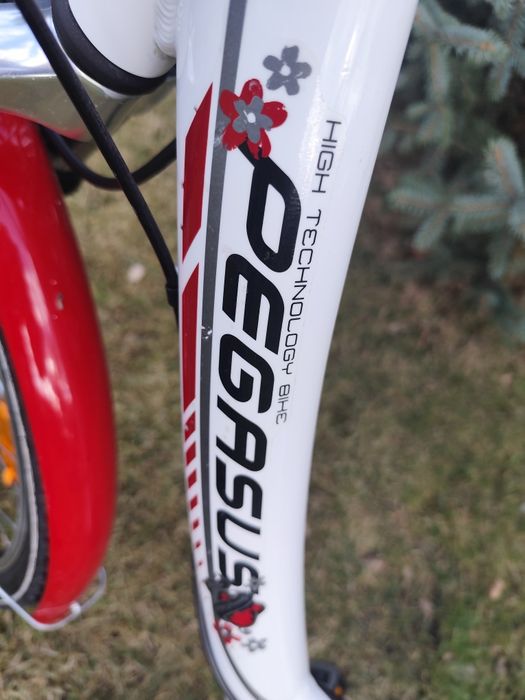 Rower 26 Pegasus Avanti Shimano
