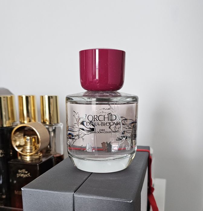 Zara - Orchid Extra Bloom