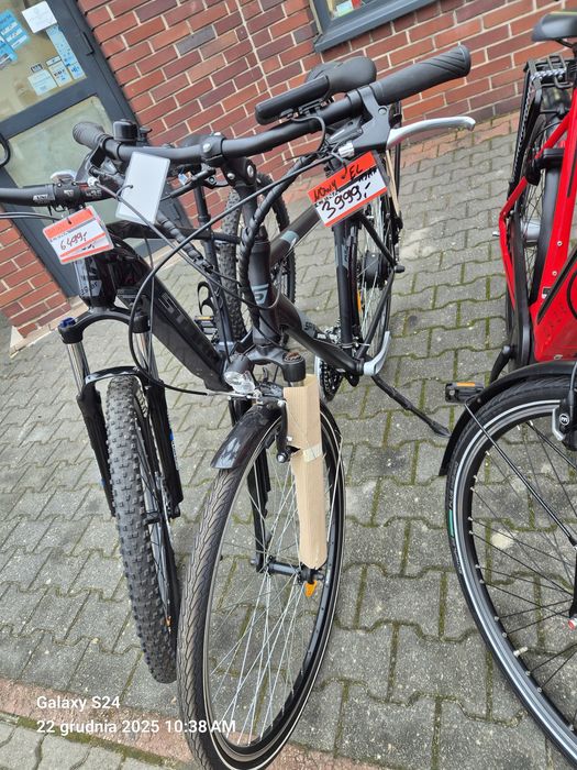 Rowery Curtis/Giant/Sparta/Gazelle/Batavus/MTB/Pegasus/Altra/KCP/Union