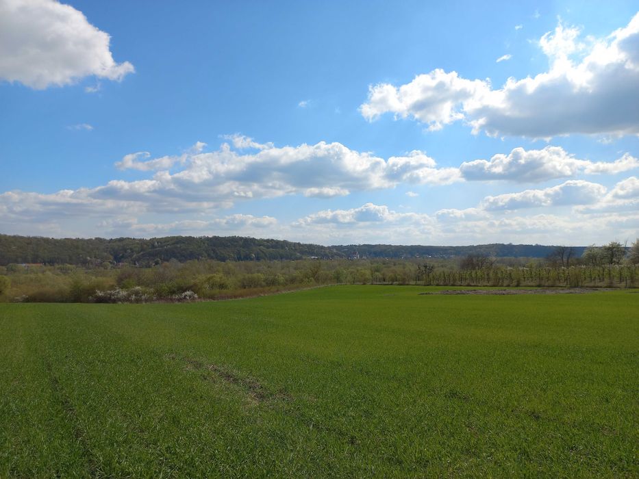 Piękne działki budowlane na przeciw Kazimierza Dolnego w m. Wojszyn