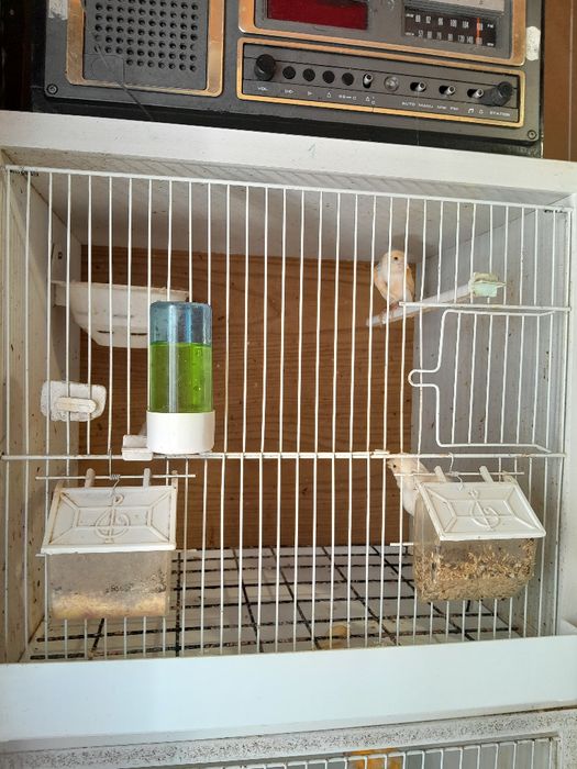 4 gaiolas para canários