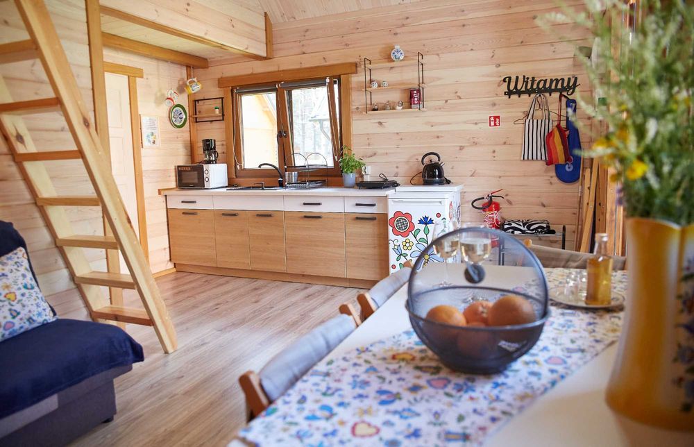 Oferta last minute- basen z podgrzewaną wodą, psy mile widziane, Leśne Runo Borsk