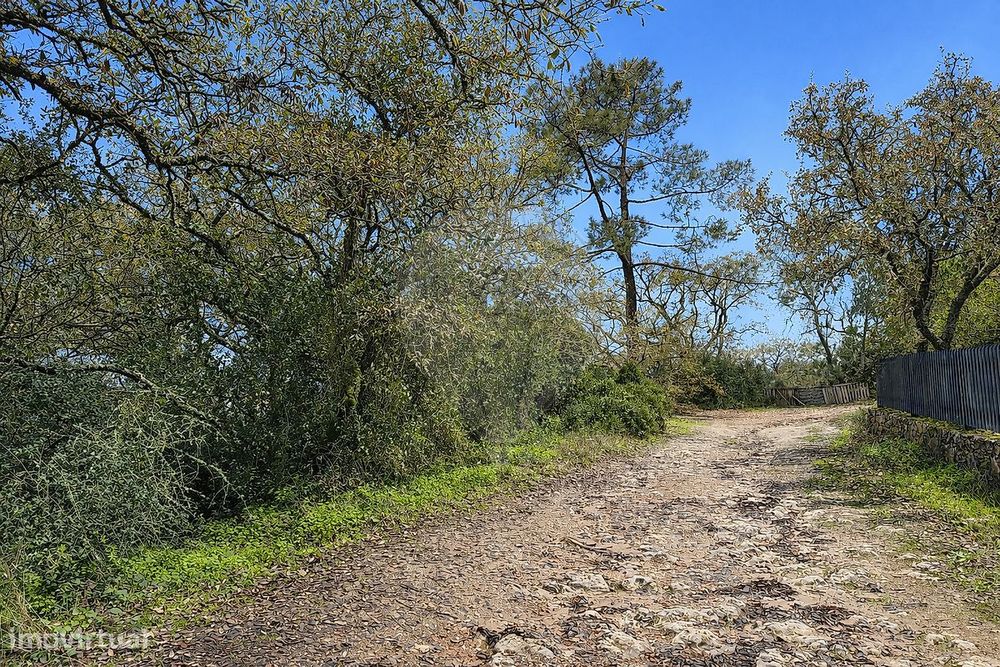 Terreno  para venda — Venda Do Pinheiro E Santo Estêvão Das Galés, Lisboa