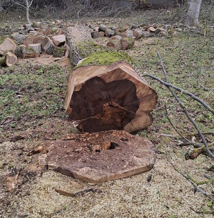 Продам кругляк великого горіха