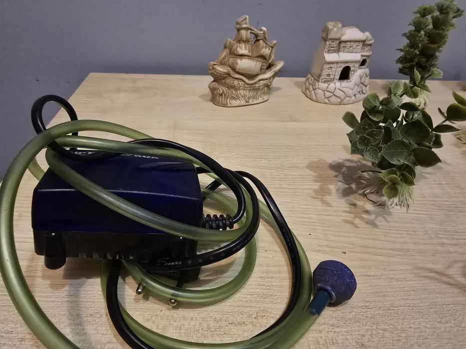 Roślinki,  filtr do akwarium