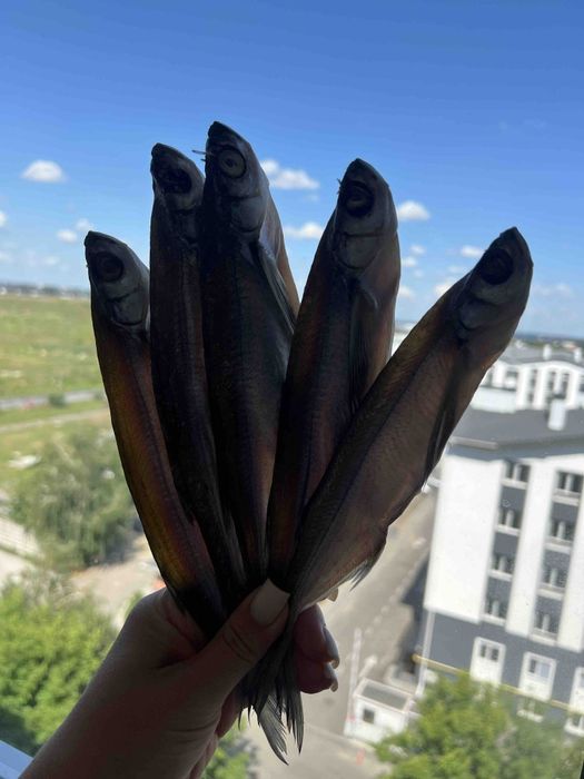 Мясо краба,клешни краба,черная икра,красная икра,лосось,печень щуки