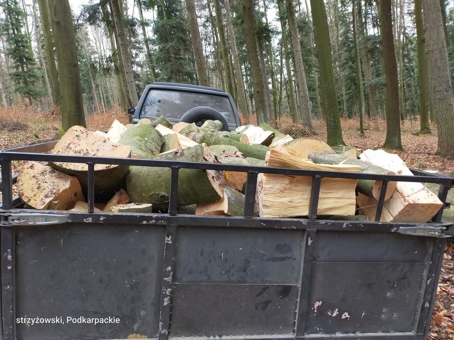 Drewno opałowe kominkowe buk