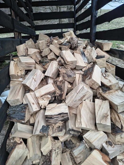 Drewno kominkowe opałowe Buk