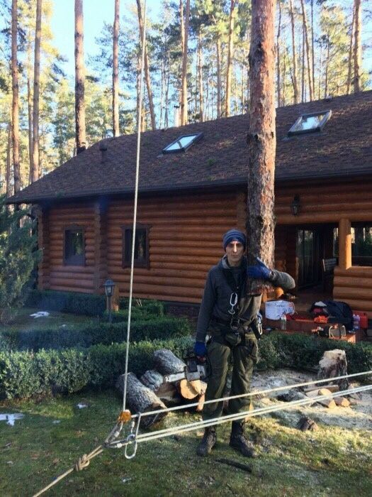 Видаленя дерев,корчування пнів,подрібненя гілок,покос трави,утилізація