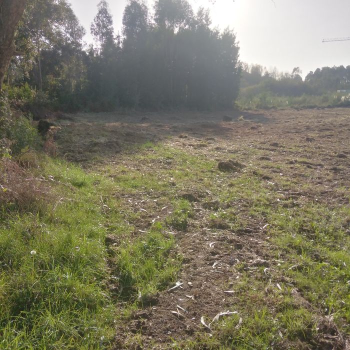 Limpeza de  terrenos