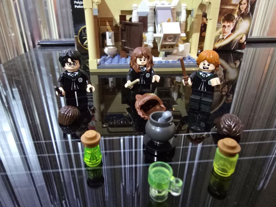 LEGO 76386, Erro de Poção Polissuco, Harry Potter
