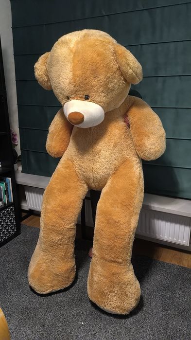 Miś pluszowy 200 cm