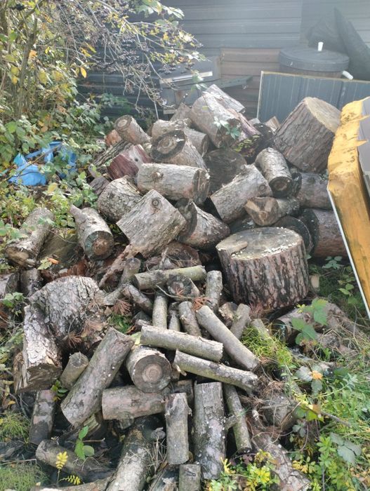 Drewno opałowe z lipca
