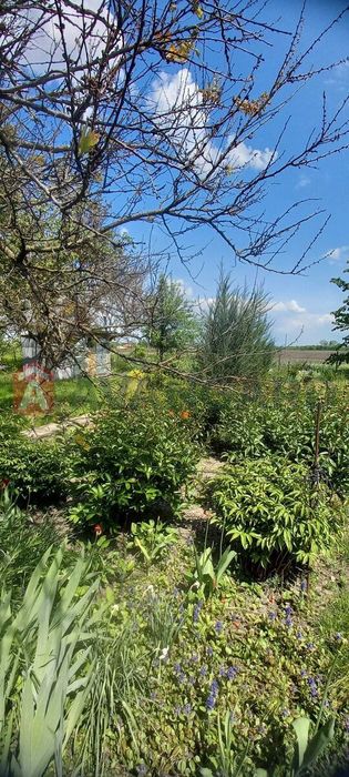 Продам дом в экологически чистом районе. Могилев. Орель.