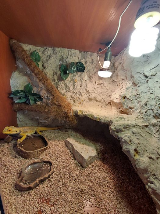 Terrarium narożne 70×70×100