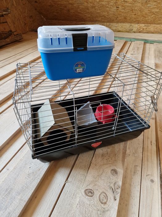 Klaka plus jedzonko dla gryzoni