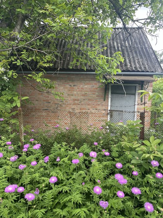 дача Комунальник Солдатські ставки