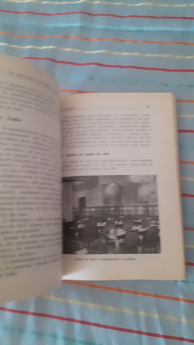 Serviços Mesa Balcão Cafetaria hotelaria 1969 manuel mendes leite raro