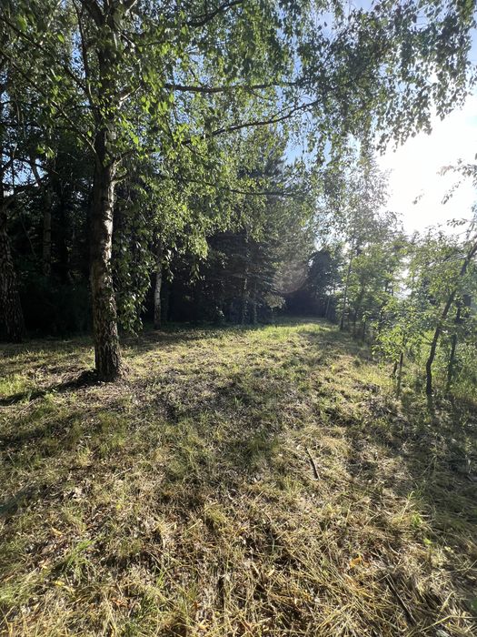 Działka budowlana ze stawem rekreacyjnym - Widok 5