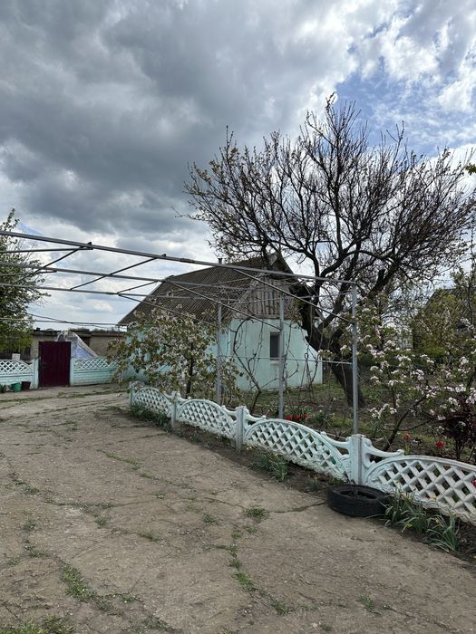 Продам будинок в с. Новоолександрівка МИКОЛАЇВСЬКА область