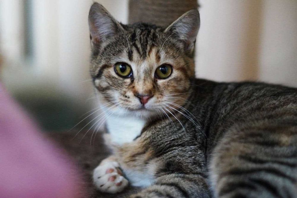 Софа- недовіряє людям, але вірить на свій шанс.