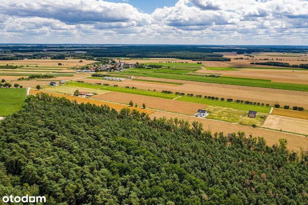 SPOKOJNA okolica !! Konarskie ul. Do Wiatraka !!