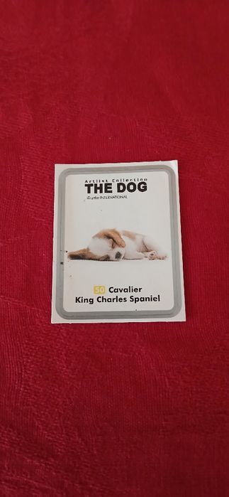 Autocolante The Dog, n° 50