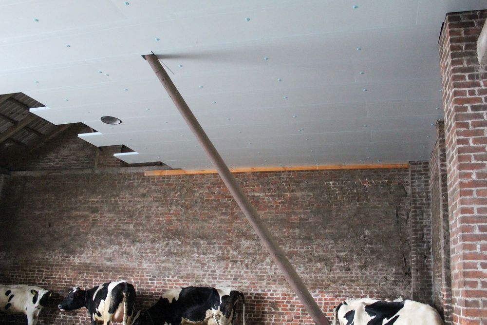 Płyta Rolnicza Styrodur XPS AGRO Ocieplenie Obory Kurnika Tuczarni