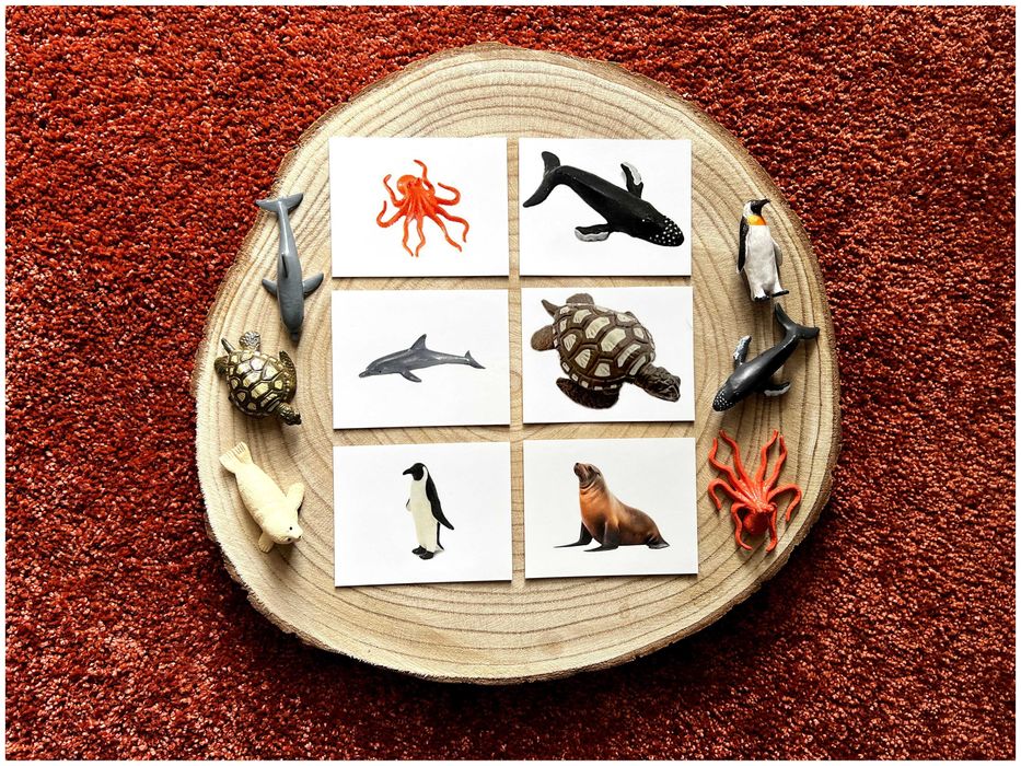 Animais Marinhos - Montessori