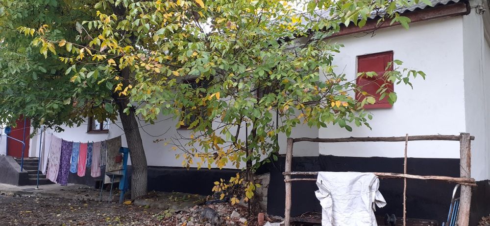 Продається будинок в центрі села Синицівка