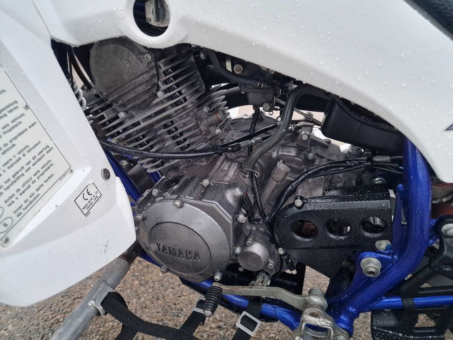 Yamaha YFM Raptor 350 R Special Edition