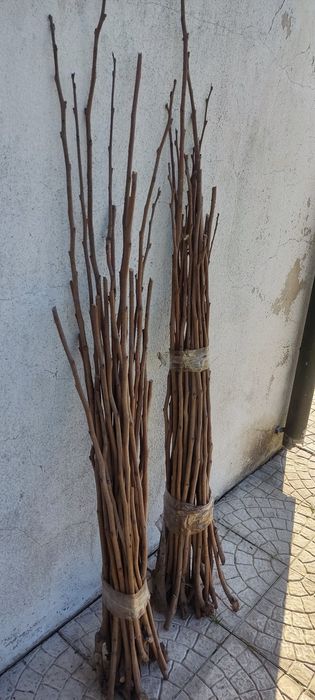 Estacas para arranjos