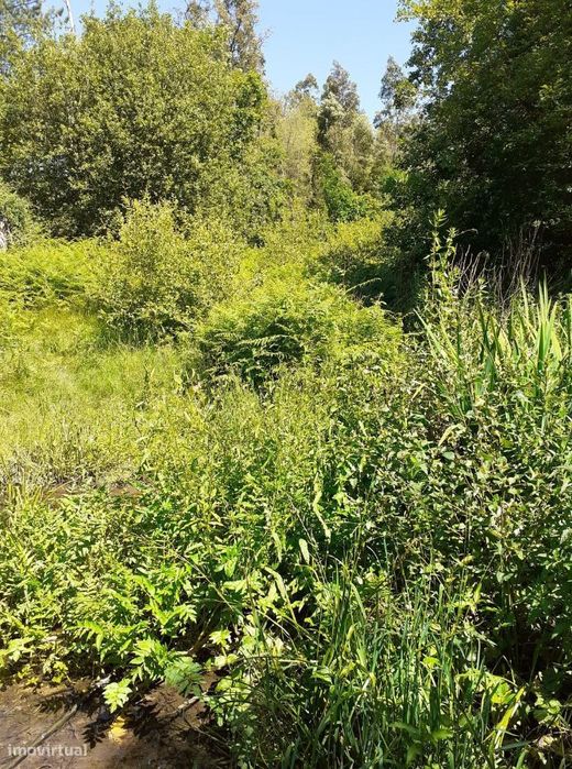Land for Sale in Sanguedo, Santa Maria da Feira, 2923 m²
