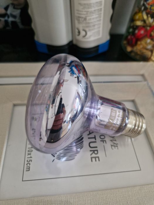 Lampada aquecimento Terrario