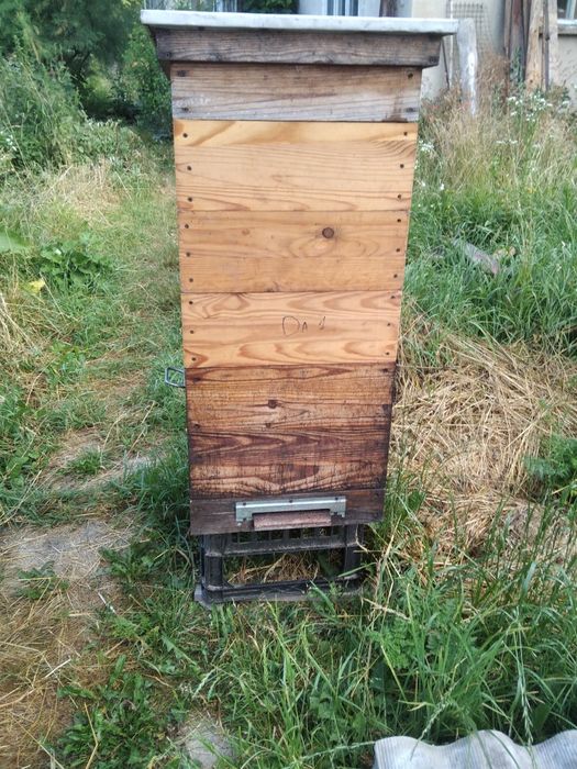 Продам вулики дадан