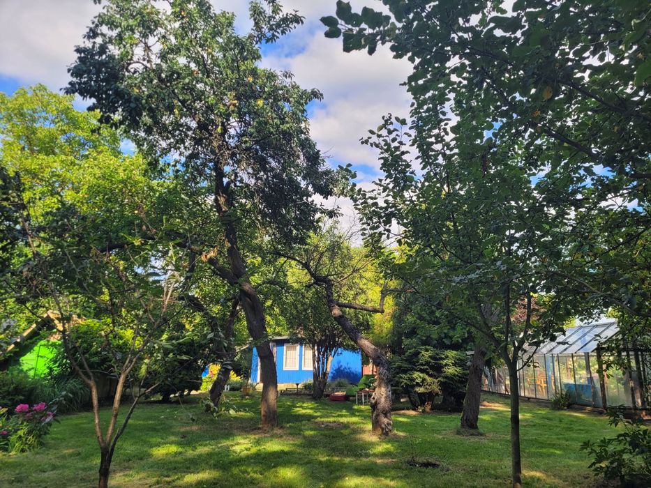 Podwójna działka 1000 m² pod Warszawą  – ROD LEN Żyrardów