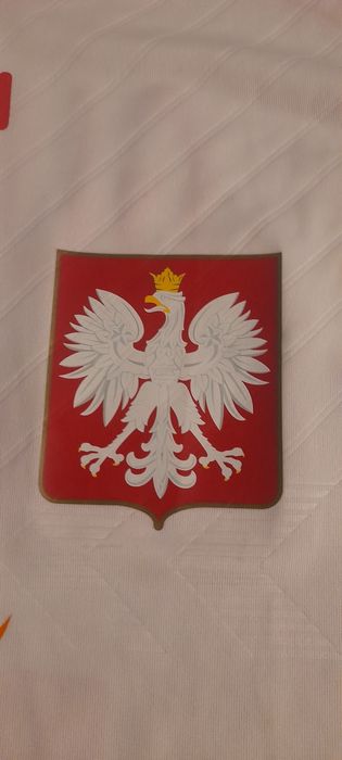 Koszulka meczowa  Wojciech  Gumiński