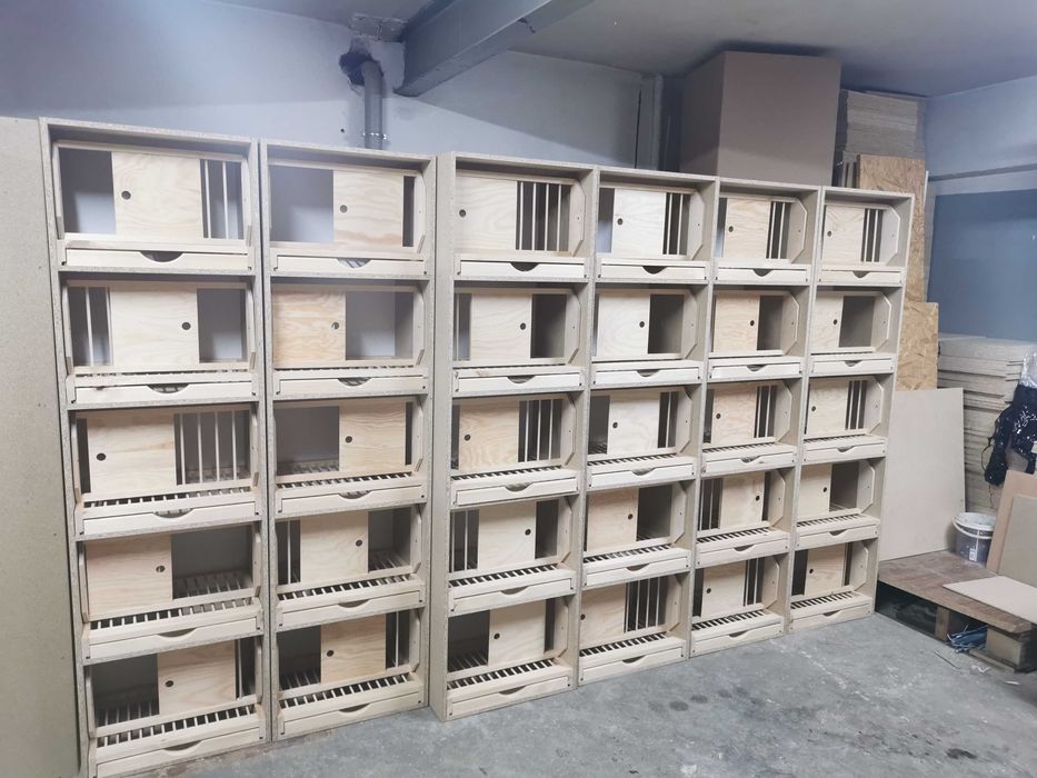 Pakiet paletowy cela lęgowa wysyłka