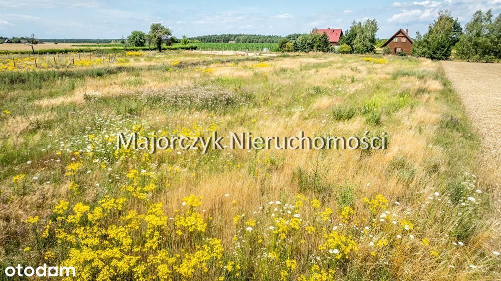 Działki budowlane Błotnica / Radomierz