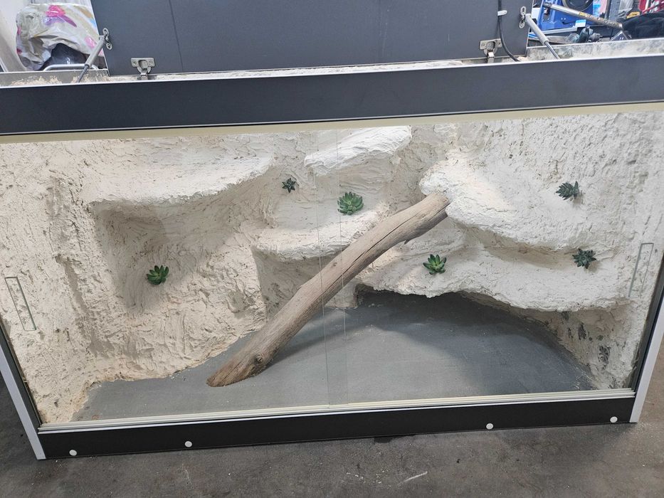 Terrarium dla gadów