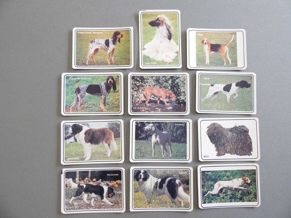 Calendários Cães