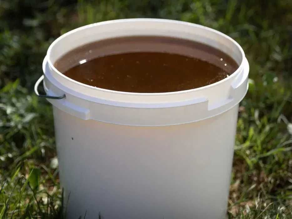 Naturalny MIÓD WIELOKWIATOWY Polski !!!Z Własnej PASIEKI - Wiadra miod