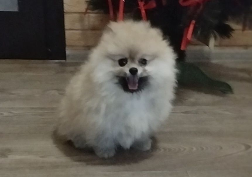 Девочка с документами